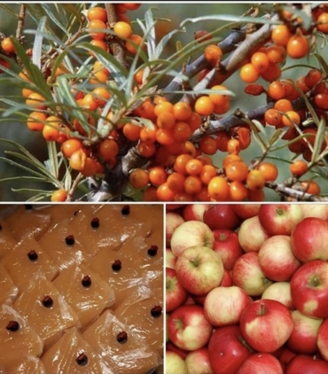 Naturalios-obuoliu-sultys-su-saltalankiu-5-L